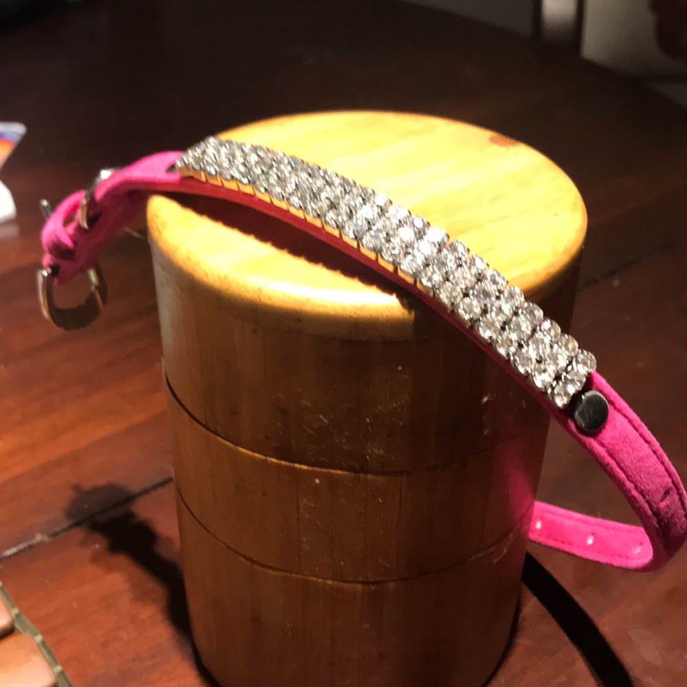 High End Pup Collar